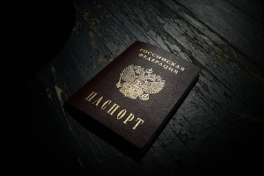 Следователи проверят выдачу гражданства родителям осквернивших георгиевскую ленту детей
