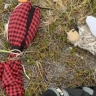 Уроженцу Республики Алтай вынесен приговор на Камчатке за незаконную добычу кречетов