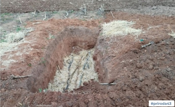 Кировских охотников на гусей попросили зарыть «окопы»