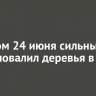 Вечером 24 июня сильный ветер повалил деревья в Тулуне