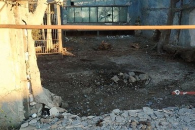 Ростовские ветврачи спешат на помощь раненому льву после атаки дронов