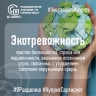 Экотревожность: как россияне переживают за природу и что с этим делать