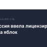 Белоруссия ввела лицензирование экспорта яблок