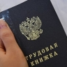 Глава службы аэропорта в Воронеже получила 4 года за фиктивное трудоустройство...