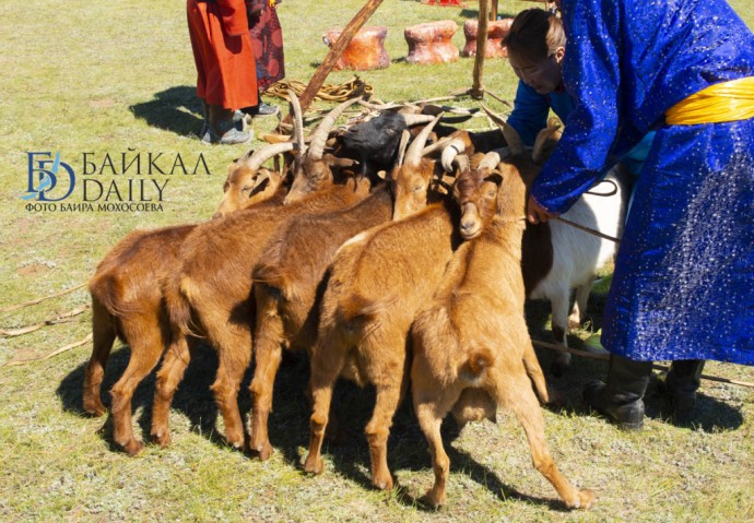 Был утверждён первый международный стандарт Монголии Был утверждён первый международный стандарт Монголии
