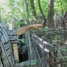 Контроль усилят за нижегородцами с психическими расстройствами