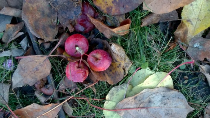 В Башкирии после аномального потепления грянут арктические морозы