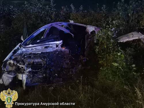 Прокуратура начала проверку по факту смертельного ДТП с автобусом на трассе под Благовещенском