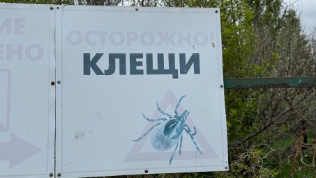 В Башкирии более 5,5 тысячи человек подверглись опасности