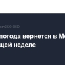 Летняя погода вернется в Москву на следующей неделе