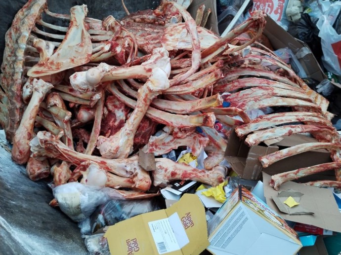 Останки крупных животных найдены в мусорном баке в Астрахани