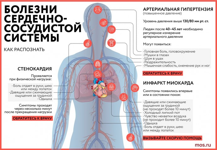 Болезни сердечно-сосудистой системы