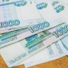 Пожилому жителю Мурашей вернули похищенные деньги