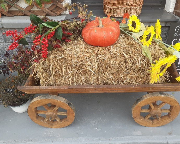 В Башкирии собран богатый урожай В Башкирии собран богатый урожай