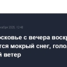 В Подмосковье с вечера воскресенья ожидаются мокрый снег, гололедица и сильный ветер