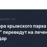 Директора крымского парка львов "Тайган" переведут на лечение в Краснодар
