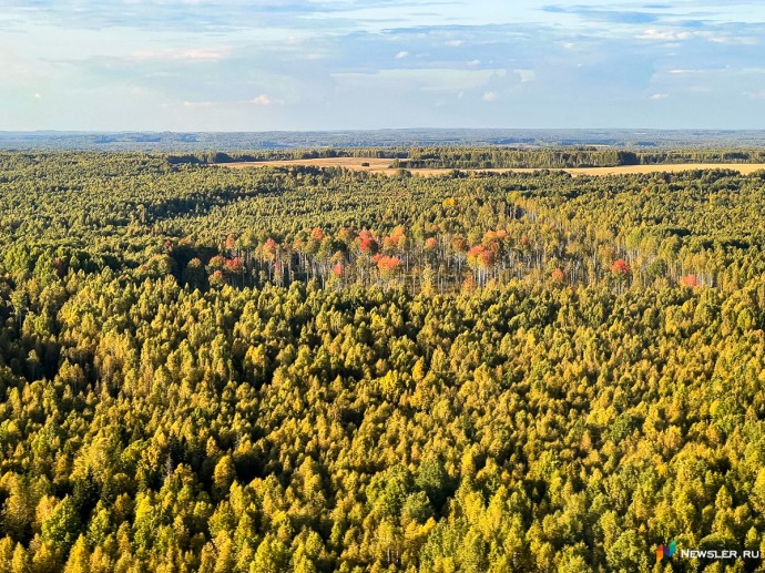 В ноябре в Кировской области пропало 24 человека В ноябре в Кировской области пропало 24 человека