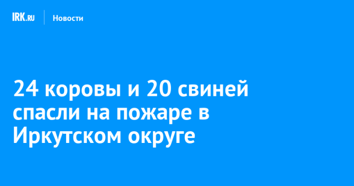 24 коровы и 20 свиней спасли на пожаре в Иркутском округе 24 коровы и 20 свиней спасли на пожаре в Иркутском округе