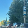Бензин в Костромскую область везут из других регионов, как раньше в Москву