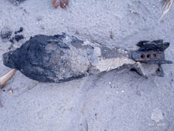 На берегу Белгородского водохранилища нашли артиллерийский снаряд