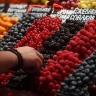 В Москве приготовились продавать ягоды