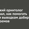 Иркутский орнитолог рассказал, как помогать утиным выводкам добираться до водоемов