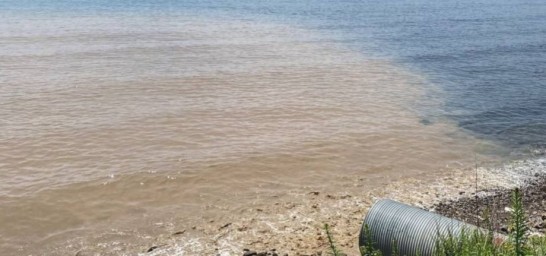 Канализация стекает в воду рядом с популярным пляжем во Владивостоке