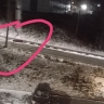 "Отливы сдуло": дом в Холмске, который привлек внимание главы следкома РФ, вновь пострадал