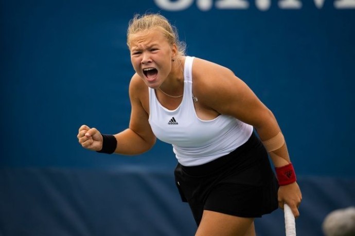 Теннис. Adelaide Open. Первый круг. Шнайдер - Фернандес. Прямая трансляция