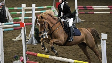 Международная федерация конного спорта допустила РФ и Беларусь до турниров