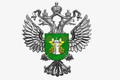 В Ичалковском районе Мордовии зарегистрирован случай бешенства у кошки