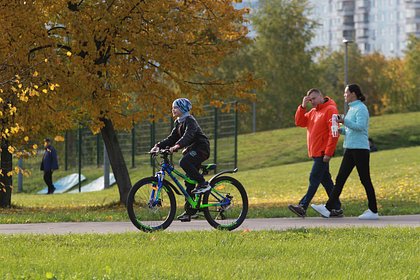 Названа дата начала бабьего лета в Москве