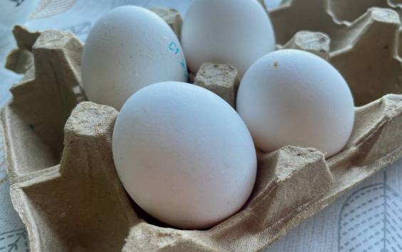В Курской области цены на куриные яйца достигли минимального уровня за два года