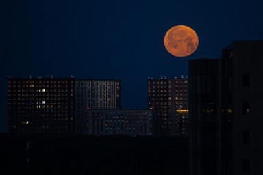 «Оленья луна» осветила Москву