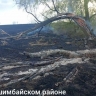 В Башкирии за сутки произошло 16 возгораний сухой растительности