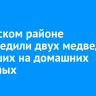 В Братском районе обезвредили двух медведей, напавших на домашних животных