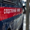 Бастрыкин взял на контроль дело школьницы, потерявшей почку в Приморье
