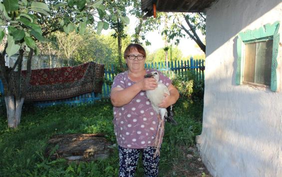 В Курской области аист каждый день прилетает к своей спасительнице