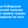 В Усолье-Сибирском шестилетний мальчик получил травму головы после падения на него качели