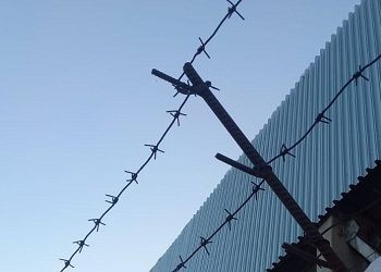 Амурчанина, скрывавшегося от алиментов, отправили в колонию строгого режима