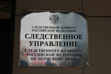 Школьник в Перми лишил жизни своих бабушку и дядю, возбуждено дело