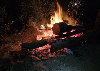 Особый противопожарный режим введут в Благовещенске со следующей недели
