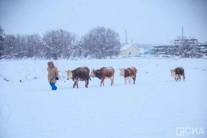 Ерастов день 23 ноября: приметы, что можно и нельзя делать