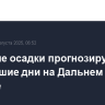 Сильные осадки прогнозируются в ближайшие дни на Дальнем Востоке