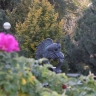 Сезон утренних курток. Прогноз погоды на сегодня от Астраханского ЦГМС