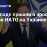На Западе пришли в ярость от планов НАТО на Украине