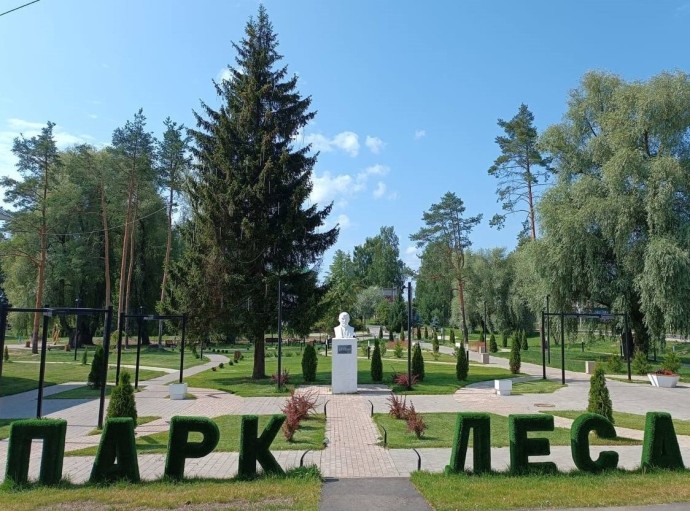 Парк леса в поселке Пречистое благоустроят до конца августа Парк леса в поселке Пречистое благоустроят до конца августа