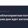 Самая неблагоприятная погода в ближайшие дни ждет жителей Сибири