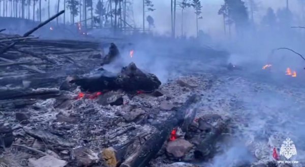 В Бурятии ребёнок и подросток подожгли лес