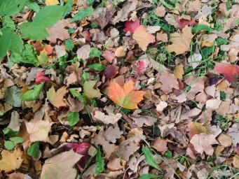 В Башкирии появилась срочная информация о погоде